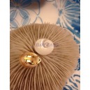 Boucles clips oeil ste Lucie