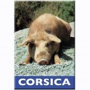 Corsica'magnet rectangulaire - Cochon 