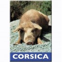 Corsica'magnet rectangulaire - Les ânes ﻿﻿
